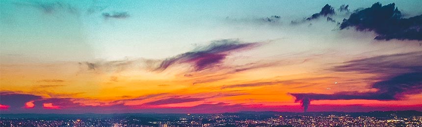 丰城茶虫网_丰城品茶